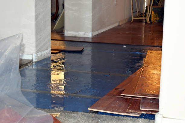 Professional Burst Pipe Cleanup technician working in New Melle, MO